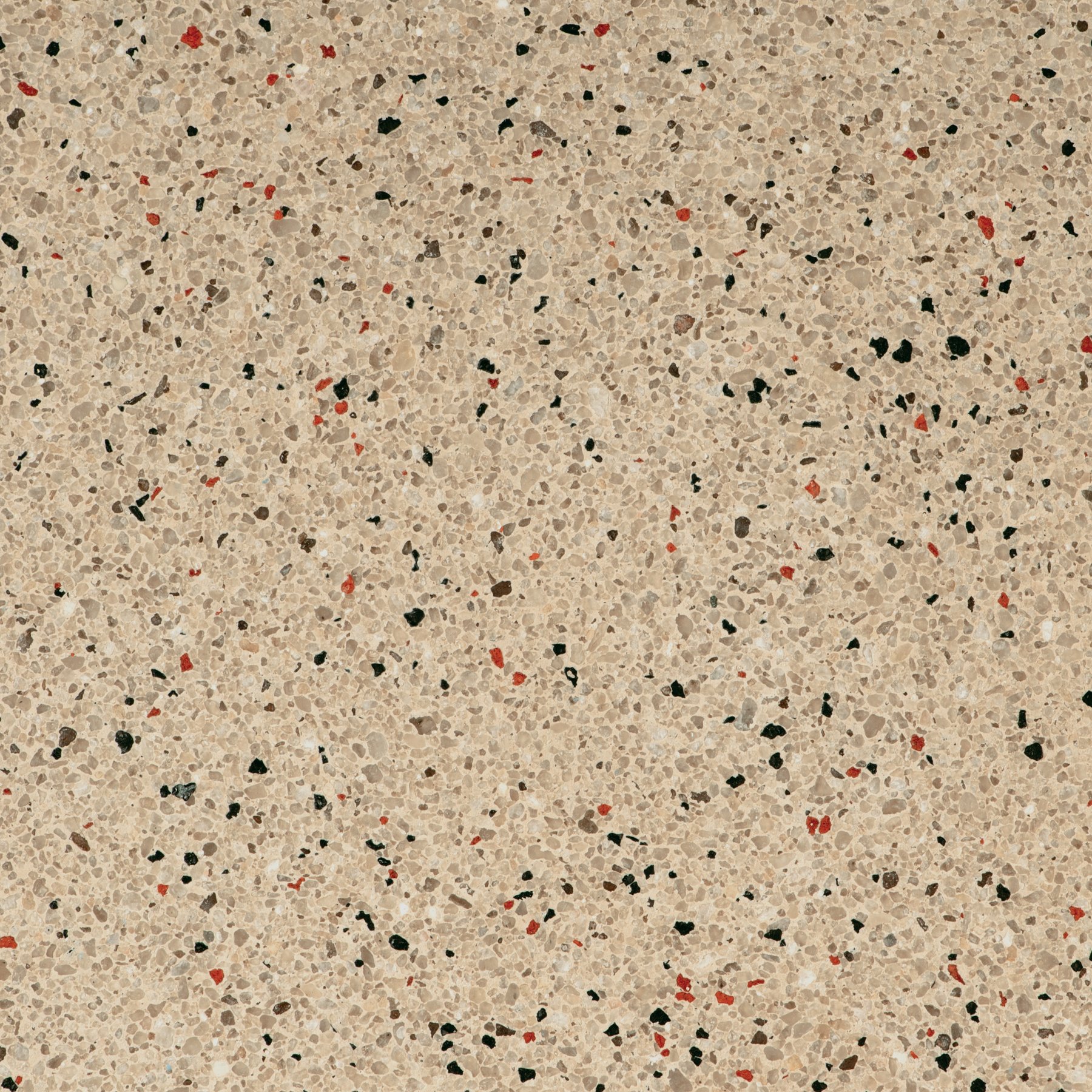 Regular Series Cappuccino