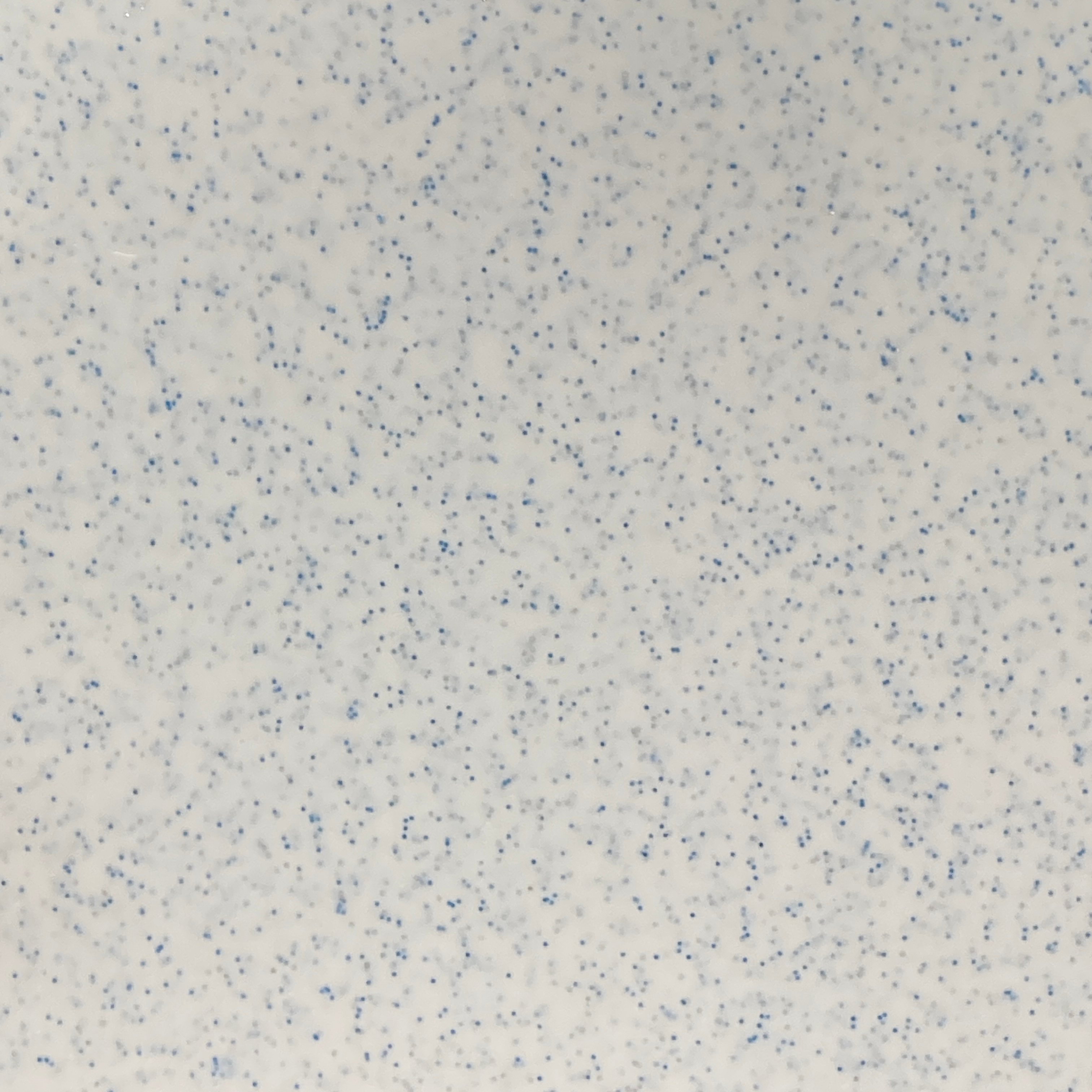 Seaside Sky